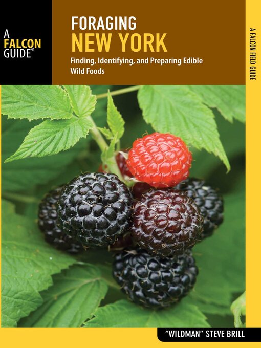 Title details for Foraging New York by "Wildman" Steve Brill - Available